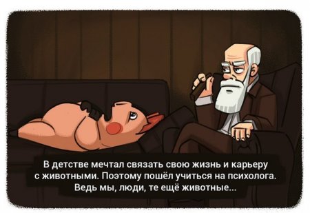 Прикольные откровения в картинках.
