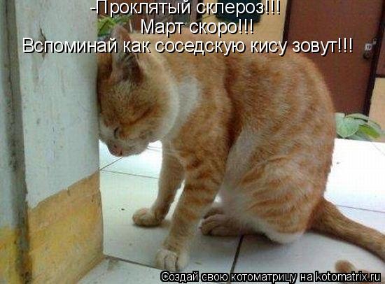  - - !!!     !!!  