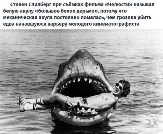 Интересные факты о популярных фильмах Интересные факты о популярных фильмах