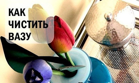 КАК ЧИСТИТЬ ВАЗУ КАК ЧИСТИТЬ ВАЗУ