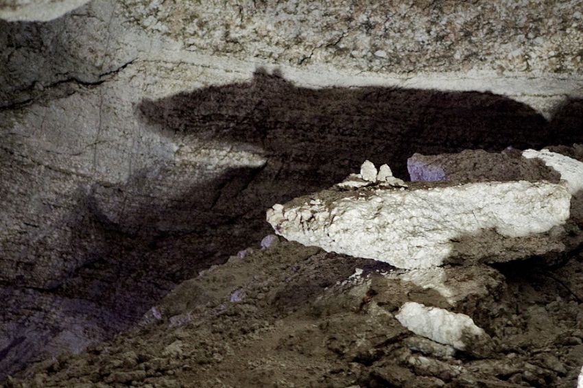 красота, россия