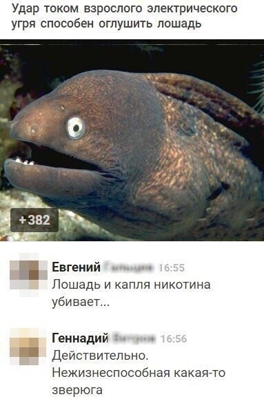 — Вы меня обманули. Оказывается, тут до моря 10 километров! — Это отлив... — Вы меня обманули. Оказывается, тут до моря 10 километров! — Это отлив...
