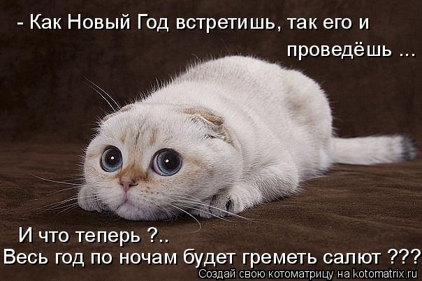  -  ... -    ,        ?.. 