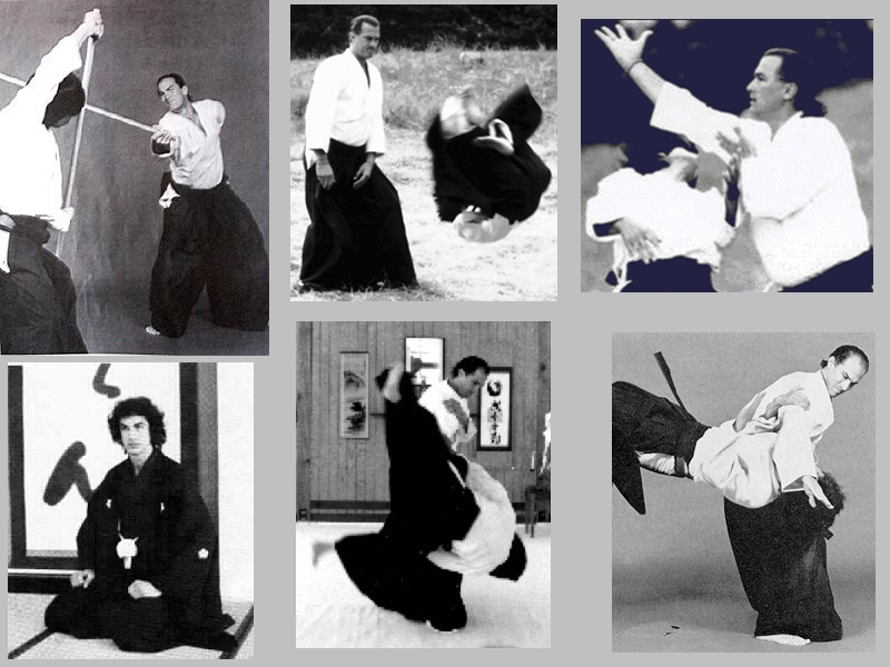 Стивен Сигал: интересные факты из жизни  голливуд, кино, стивен сигал, факты