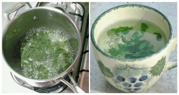 A-Miracle-Herb-This-Woman-Was-72kg-On-Thursday-And-Went-Down-To-67kg-By-Saturday-1 (1)