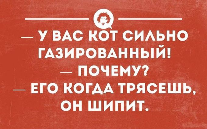 27 жизненных открыток для отличного настроения жизнь, люди, открытки, юмор