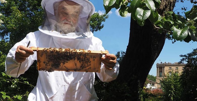 20 мая британская королевская семья отпраздновала праздник пчеловодства