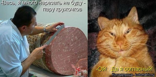 Смешные котоматрицы)) Смешные котоматрицы))