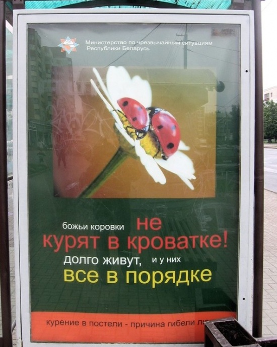 Маразмы рекламы (3) Маразмы рекламы (3)