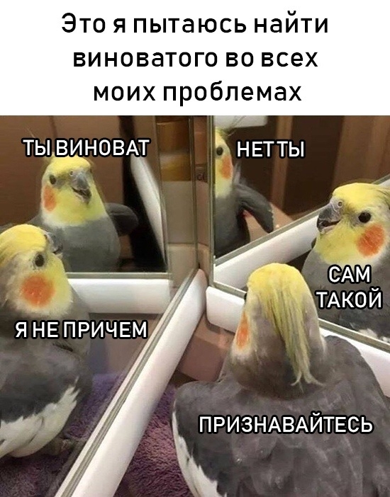 Прикольные картинки Прикольные картинки