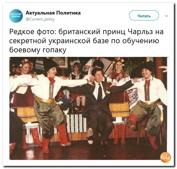 50.jpg