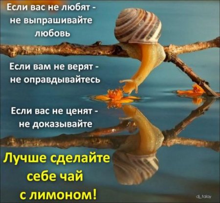 Фото стрижек роналдо Фото стрижек роналдо