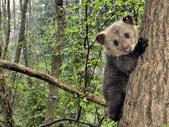 Лучшие фотографии июня 2012 от National Geographic