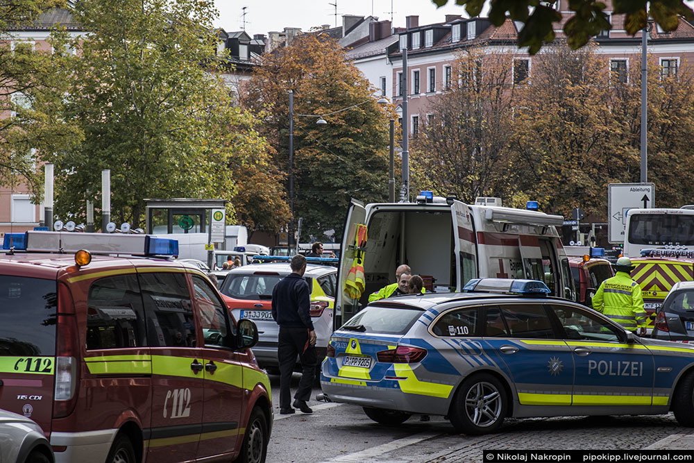 В Германии пони забеременела от беженца В Германии пони забеременела от беженца