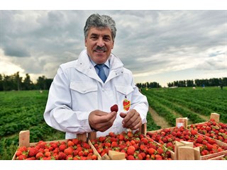 О миллиардах Грудинина О миллиардах Грудинина