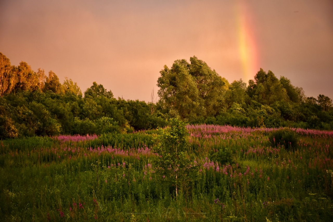 Природа России 35