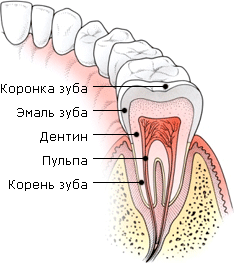 Просто белоснежно! Просто белоснежно!