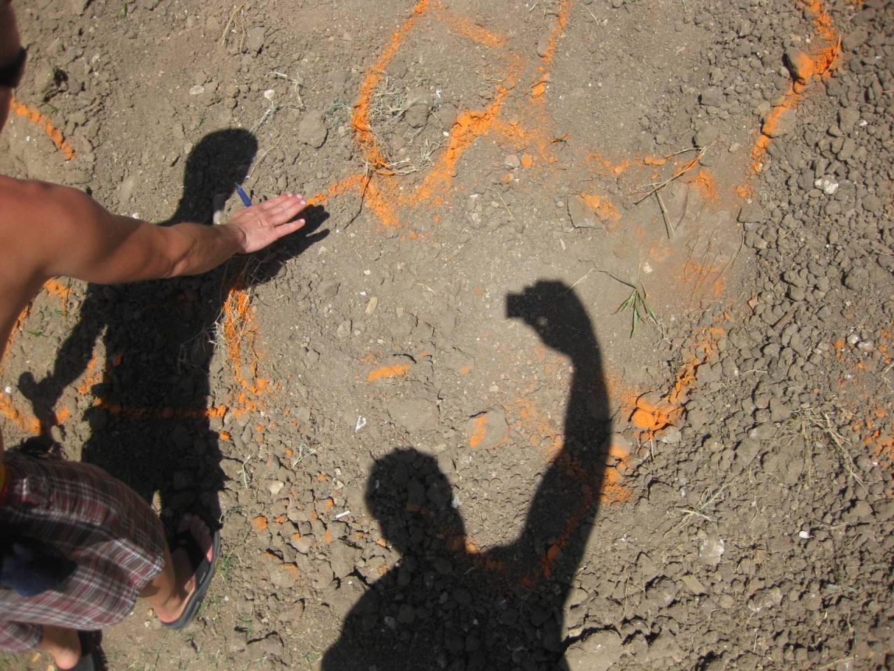 ����� �� ������ ����� �������, ������, ������