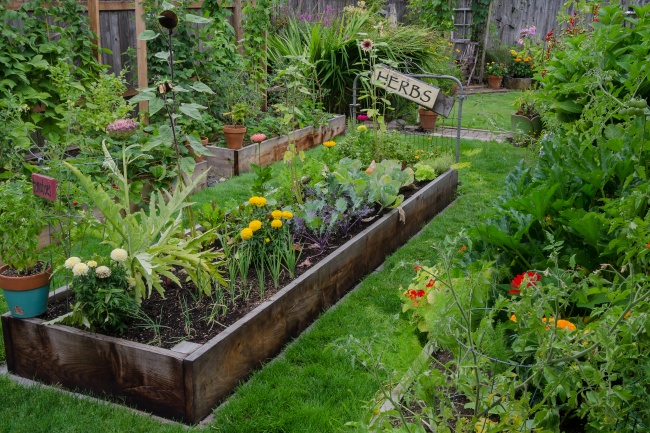 13 оригинальных идей для дачи, о которых мечтает любой садовод