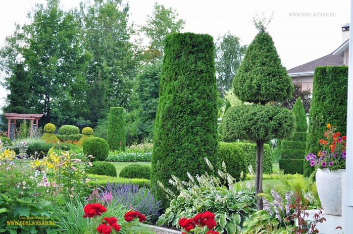 ��� ������� ����������