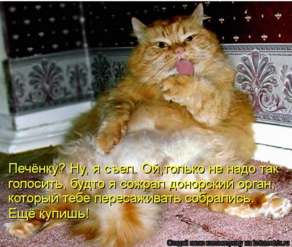 �����������(�������� � ���������)