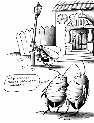 6 6
