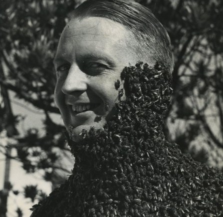 Без пчел человечество проживет 4 года grey Без пчел человечество проживет 4 года