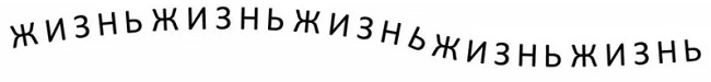 Живое и неживое. Может ли мёртвое ожить?