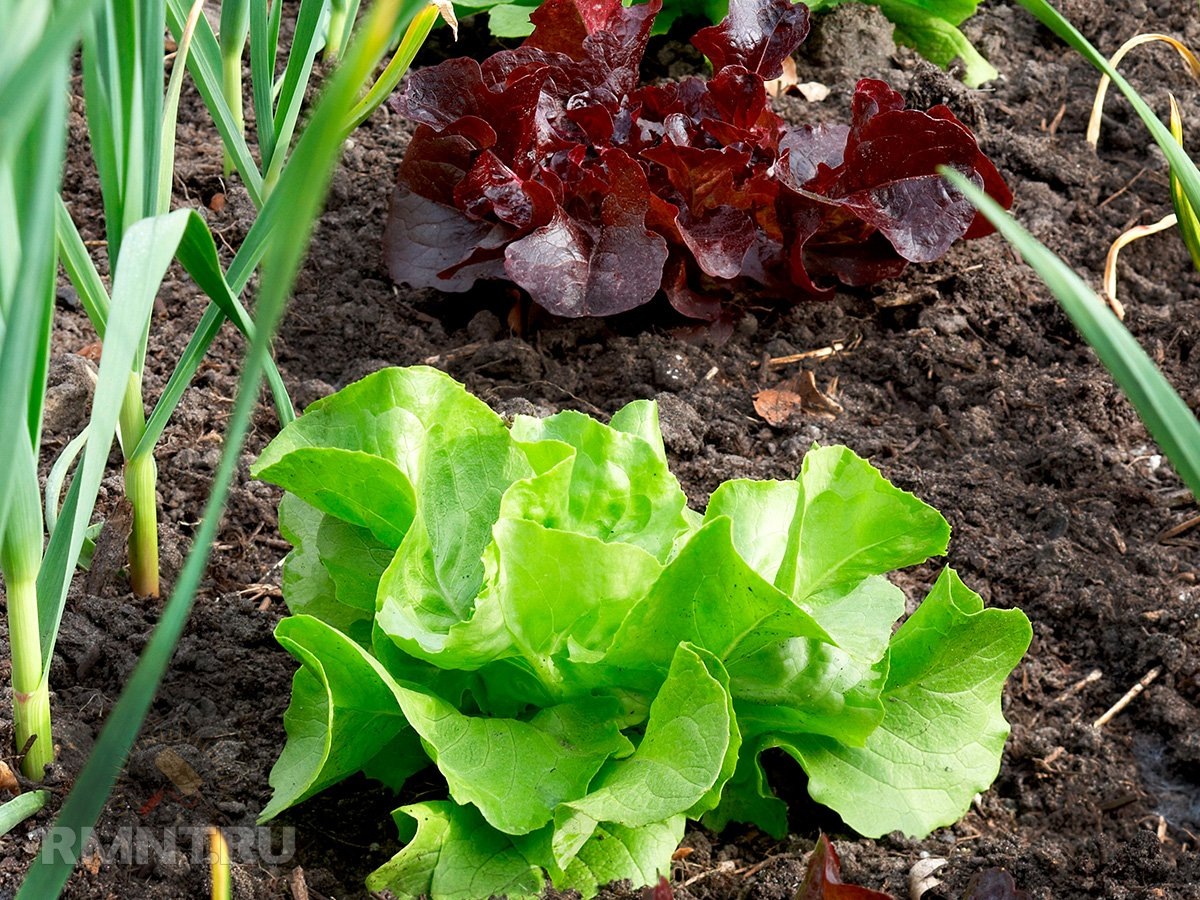 Фото bhg.com