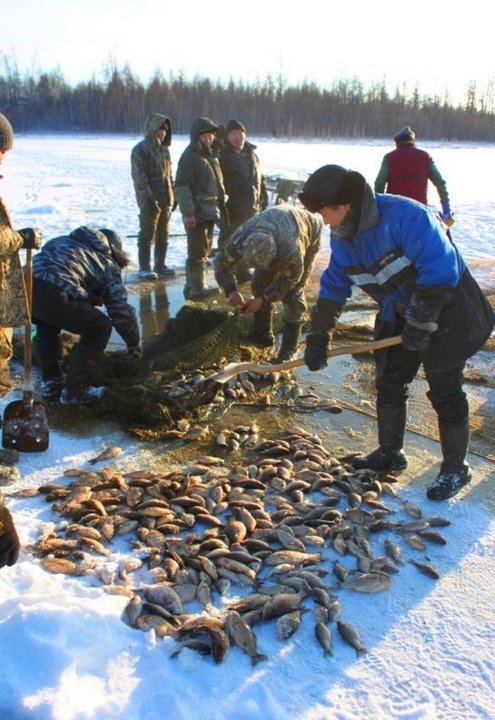 рыбалка