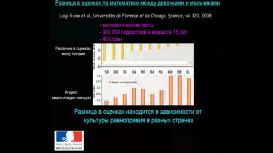 виндаль30-2 Как устроен мозг