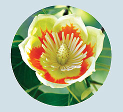 RabochiyMoment-12.jpg RabochiyMoment-12.jpg