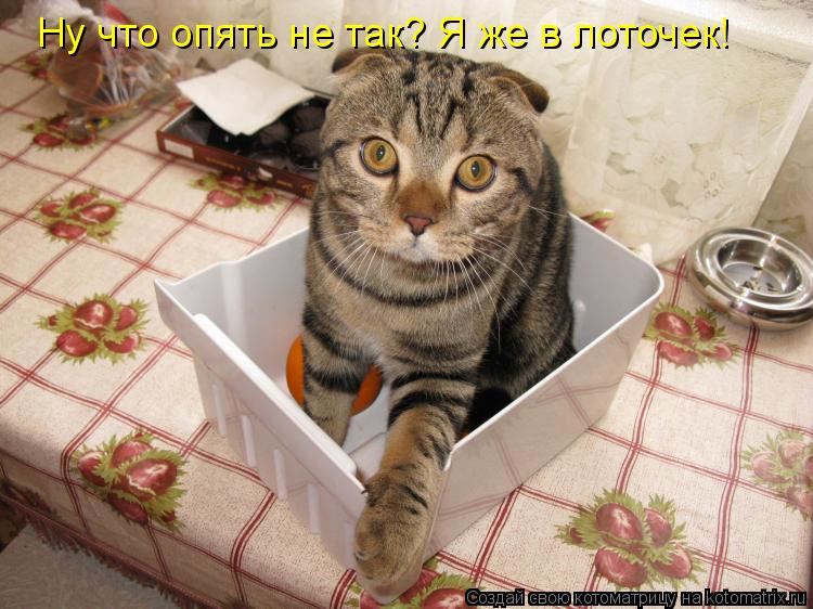  -     ?    !