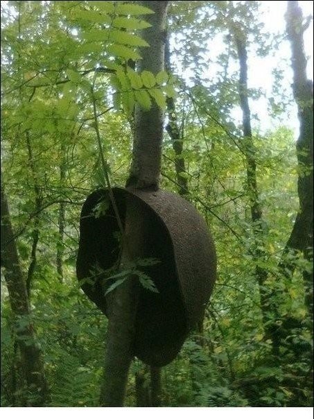 Эхо войны Эхо войны