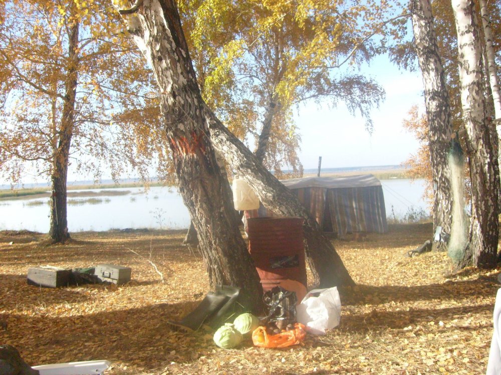Осенняя зарисовка Осенняя зарисовка