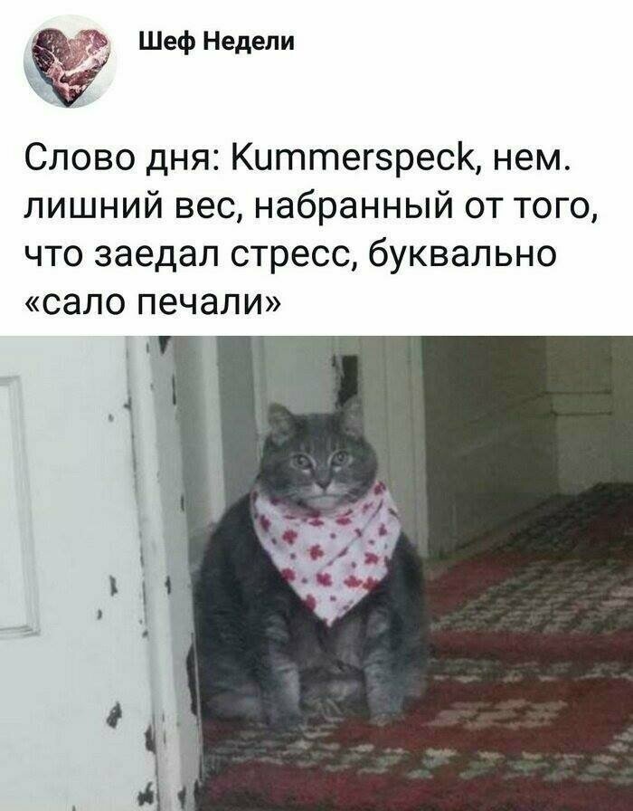 Расширяем словарный запас Больше всего наши нервы ненавидят стресс
(15 фото + 1 гиф)