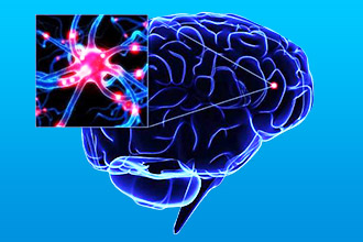 ÐÐÑ€Ð²Ð½Ñ‹Ð Ð¸Ð¼Ð¿ÑƒÐÑŒÑÑ‹