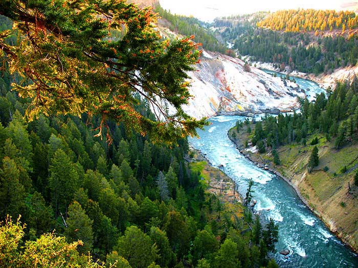 Национальный парк Йеллоустон (Yellowstone). Фото.