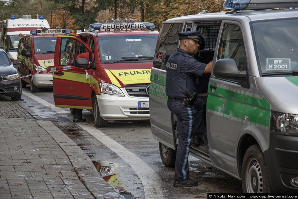 В Германии пони забеременела от беженца В Германии пони забеременела от беженца