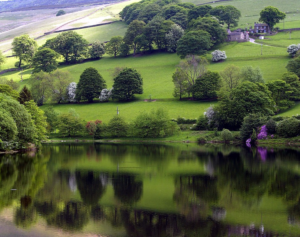 Ледибауэр (анг. Ladybower) — Y-образное водохранилище