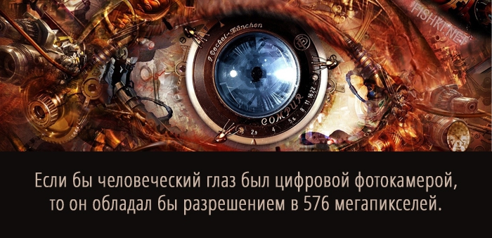 20 суперспособностей, которые есть у каждого 20 суперспособностей, которые есть у каждого анатомия, факты, человек