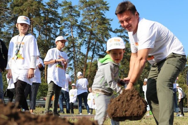 В Подмосковье стартовала акция «Наш лес. Посади свое дерево»