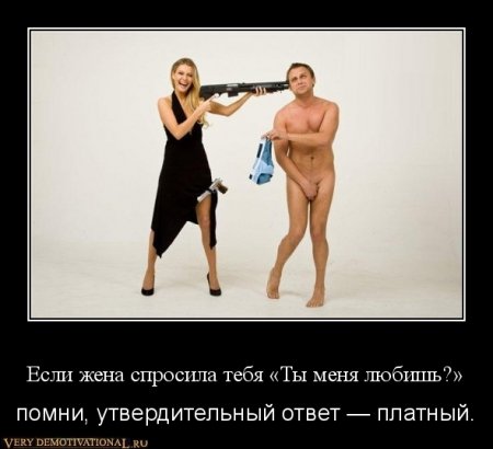Под стольные демотиваторы!