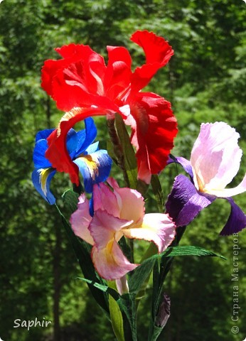 Поделка изделие Бумагопластика Квиллинг ИРИС Бумага гофрированная фото 1