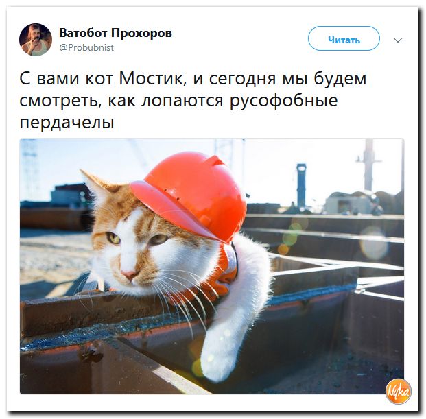 Обо всем понемногу с юмором и ехидными комментариями Обо всем понемногу с юмором и ехидными комментариями