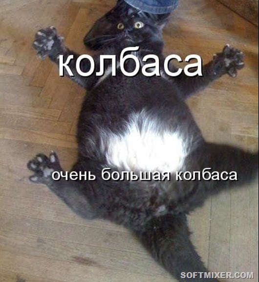 1081077 1081077