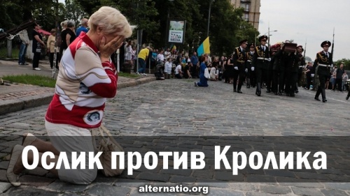 Ослик против Кролика