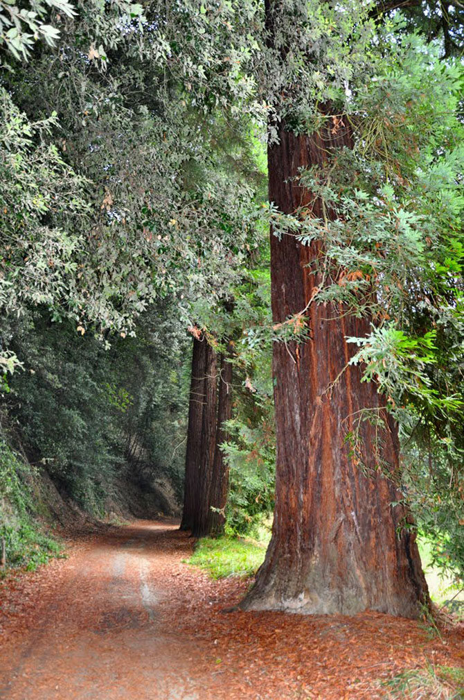 ��������� � ����������� ����� ����������