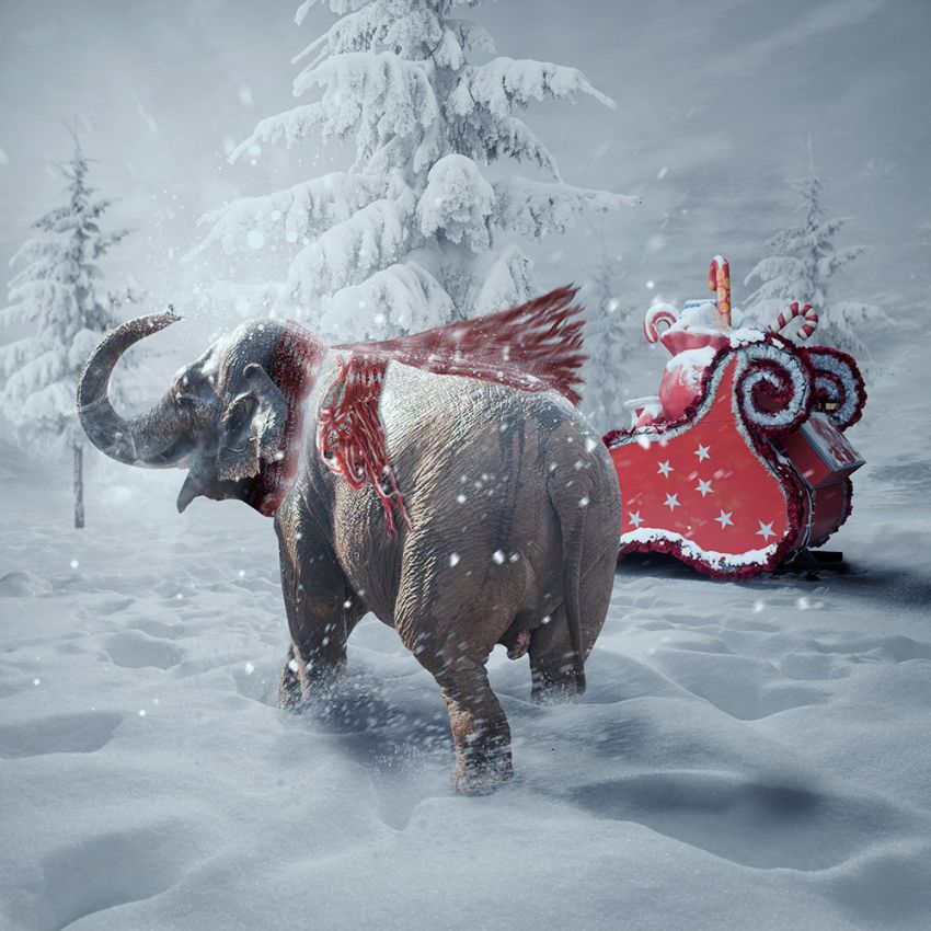 фотоманипуляции, креатив