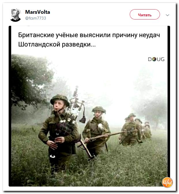 Соцсети жгут! С юмором о злободневном в ехидных скриншотах Соцсети жгут! С юмором о злободневном в ехидных скриншотах